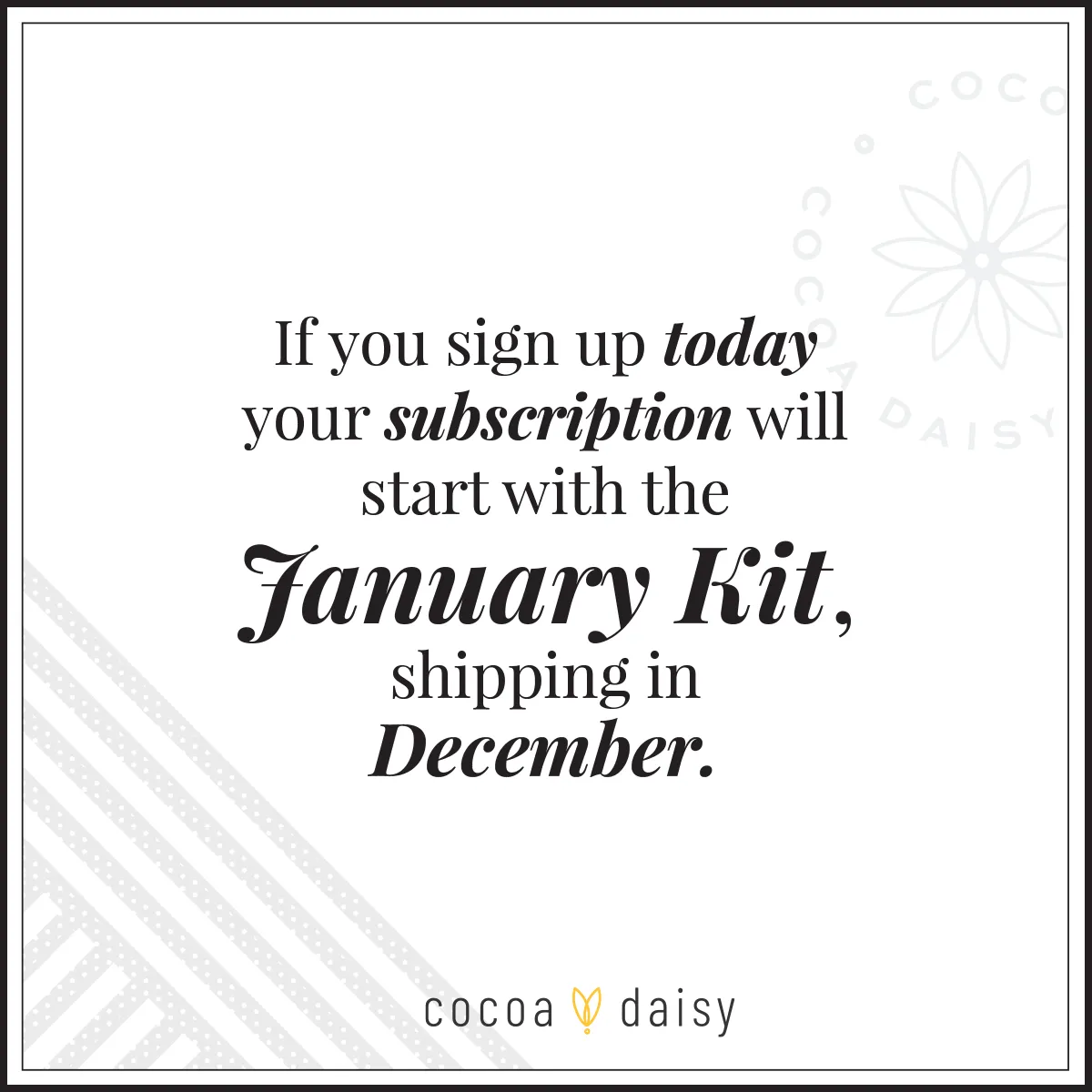Planner Sticker Kit Subscription - 1 month