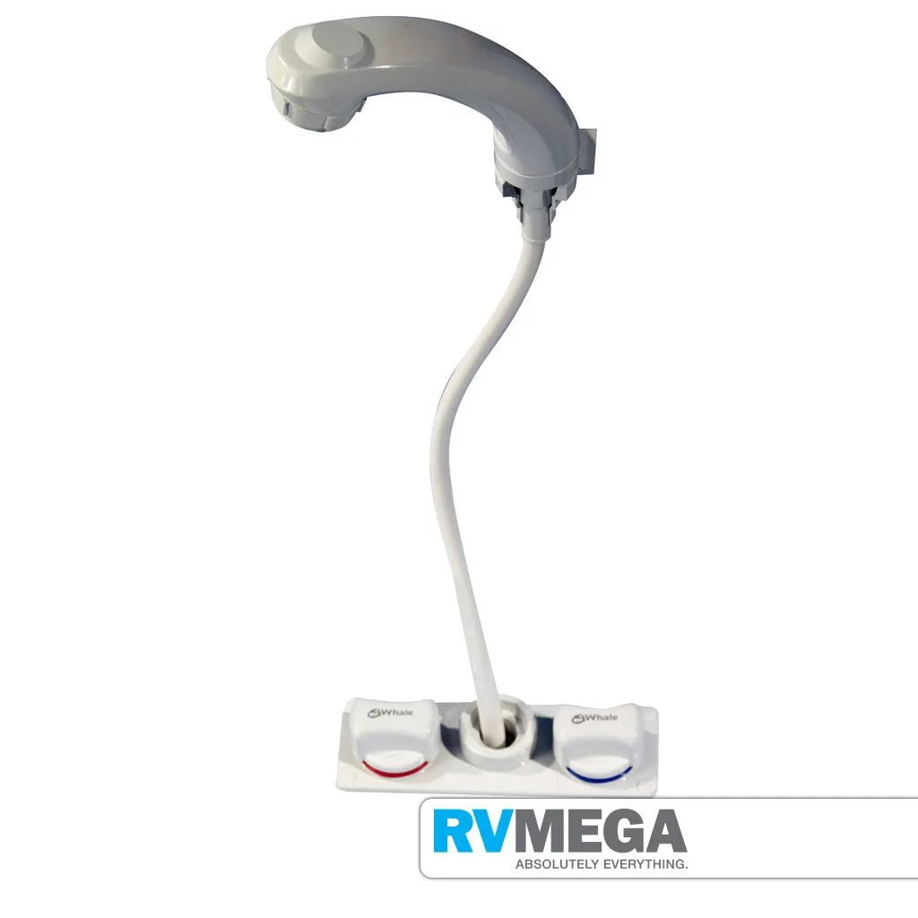 Whale Elegance Combo Tap & Shower Mixer RT2500